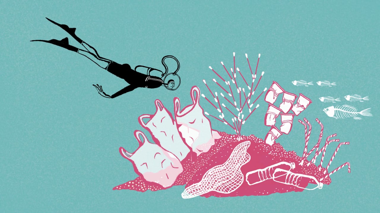 Imagen de la animación Ríos limpios, océano limpio de Atacama